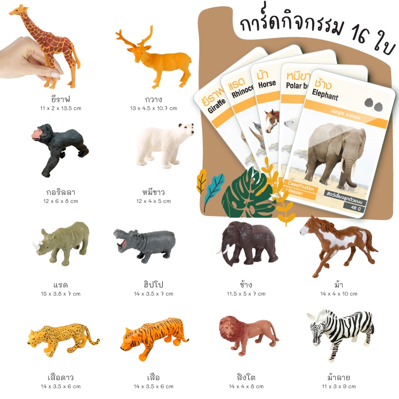 โมเดลสัตว์ (ตัวใหญ่) สัตว์ป่า สัตว์ในฟาร์ม สัตว์ทะเล ไดโนเสาร์ จับคู่ พร้อมการ์ดกิจกรรม CN
