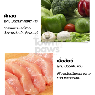 Yaho ขัดฟันสุนัข กระดูกขัดฟัน แปรงสีฟัน หมาแทะ ขัดฟันหมาใหญ่ คอเป็ด หัวเข่าวัว ขนมสุนัข [พร้อมส่ง]