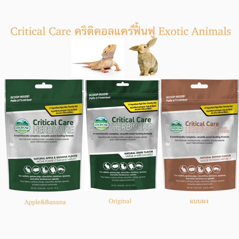 พร้อมส่ง Oxbow Critical Care ฟื้นฟูสัตว์ป่วยสำหรับ Exotic pets