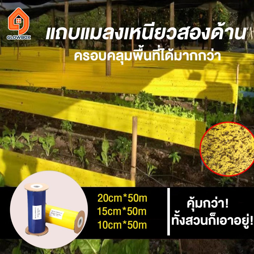 50m x10/15/20cm  แผ่นกาวดักแมลง (มีกาวในตัว)เทปสองหน้า กับดักแมลงกินผัก ดักแมลงศัตรูพืช กาวดักแมลงวันทอง