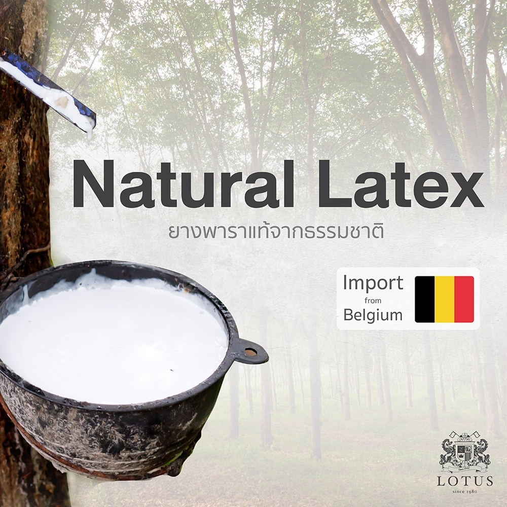 [ฟรี!ชุดผ้าปู] LOTUS