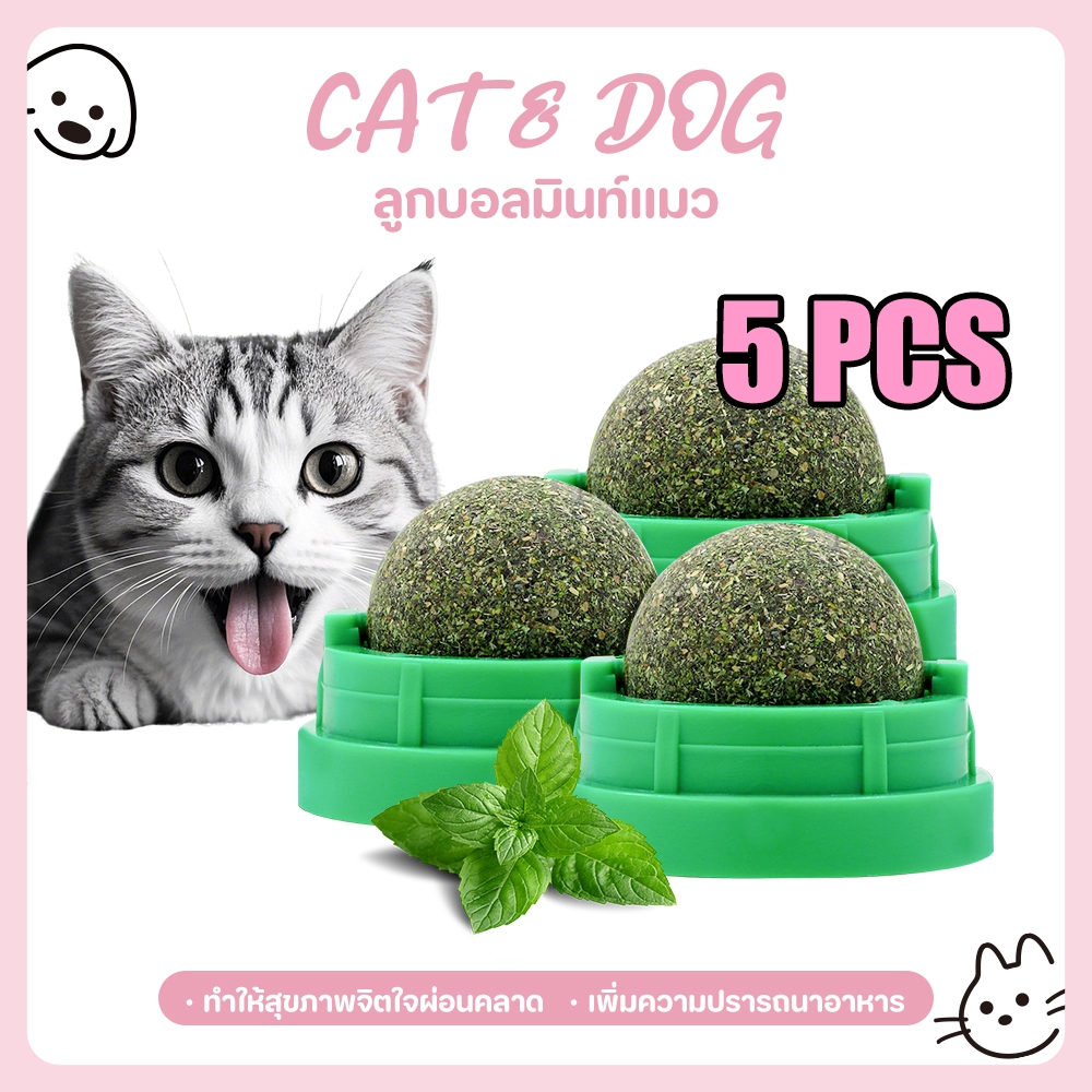 【CAT&DOG】55 บาท 5 ชิ้นแคทนิปบอล บอลแมวเลีย  แคทนิปแมวเลีย กัญชาแมว ขนมแมวเลีย ของเล่นแมวเลีย