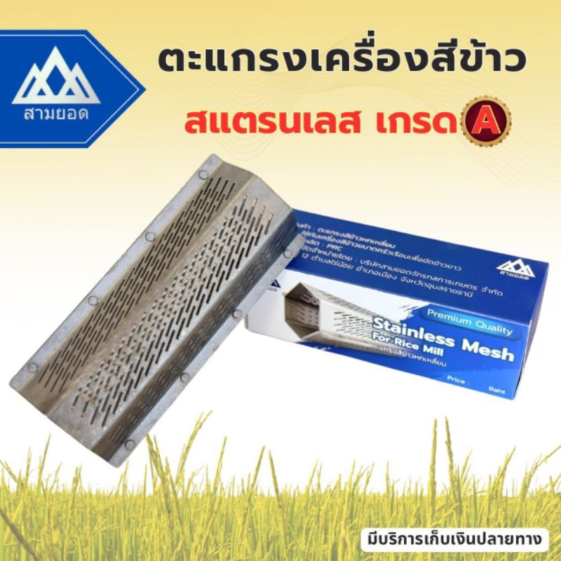 รูปภาพ 3