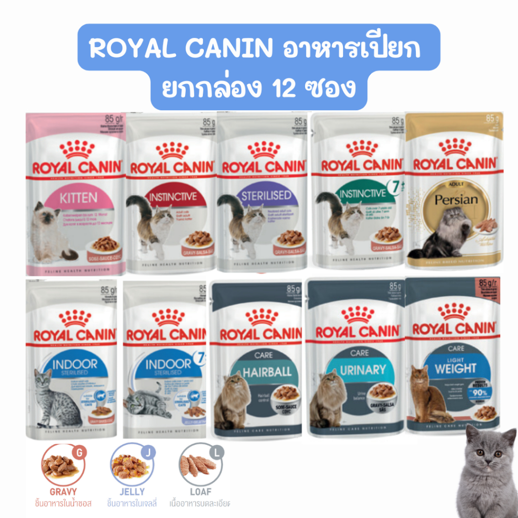 [ยกกล่อง] Royal Canin Pouch โรยัล คานิน อาหารเปียกแมว ขนาด85g*12 ซอง exp.มากกว่า08/2026