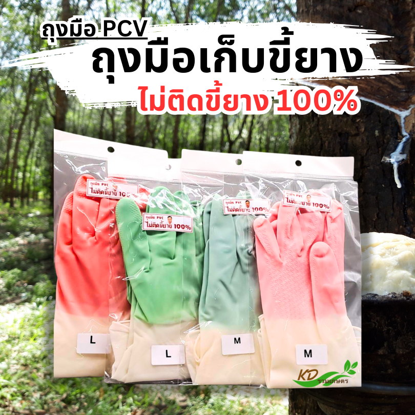 ถุงมือPCVเก็บขี้ยาง *ตงตง* ทนกรด+ยางไม่ติด+ป้องกันสารเคมี**ทน เหนียว หนา กระชับมือ ไม่ขาดง่าย สามารถใช้ได้หลายครั้ง