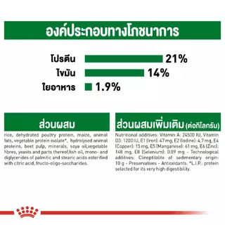 (หมา)Royal Canin Mini Indoor Adult 3kg สูตรสุนัขโตเลี้ยงในบ้านพันธ์เล็ก อายุ10เดือนขึ้นไป. 3 kg