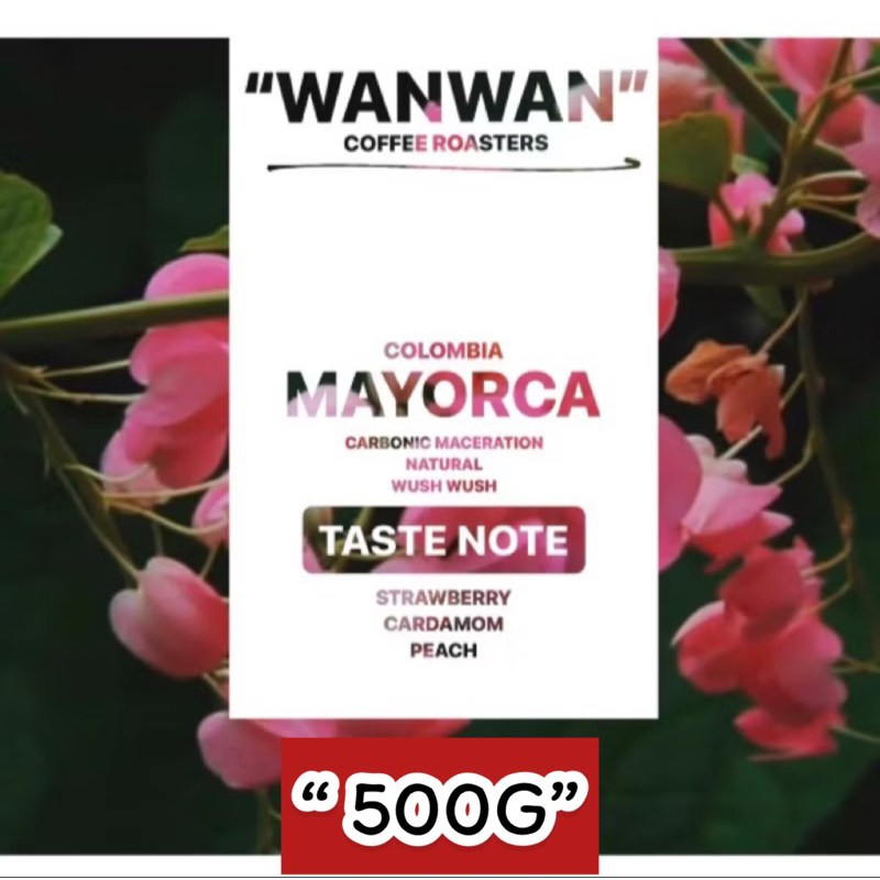 WANWAN - WUSH WUSH (500G)