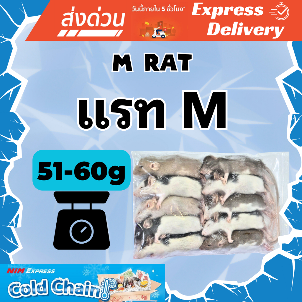 [ส่งทันที] หนูแรทแช่แข็ง หนูแช่แข็ง หนูเหยื่อ Frozen Rat ไซส์ M (Rat M) ขนาด 51-60g แพ็ค 10 ตัว