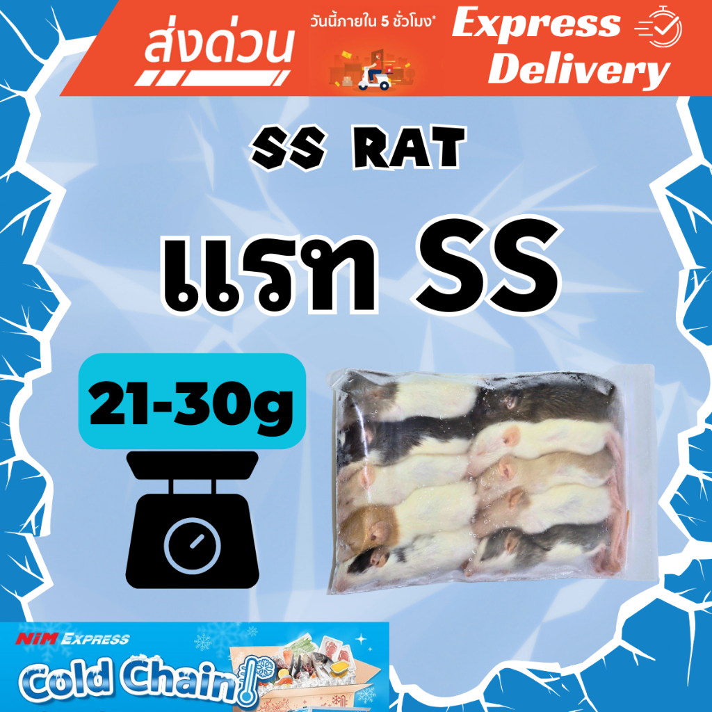 [ส่งทันที] หนูแรทแช่แข็ง หนูแช่แข็ง หนูเหยื่อ Frozen Rat ไซส์ SS (Rat SS) ขนาด 21-30g แพ็ค 10 ตัว