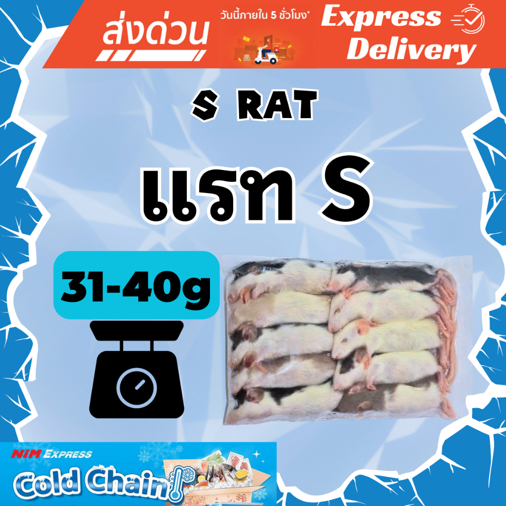 [ส่งทันที] หนูแรทแช่แข็ง หนูแช่แข็ง หนูเหยื่อ Frozen Rat ไซส์ S (Rat S) ขนาด 31-40g แพ็ค 10 ตัว