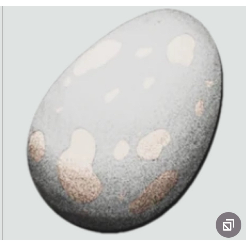 ( ไม่ใช่ของจริง 100% 🔥 ห้ามซื้อ ) Titanoboa Egg ไข่ใหญ่พิเศษ ส่งตรงจากยุคพาลีโอซีน นัดรับ กทม หรือส่