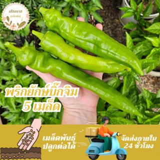 เมล็ดพันธุ์ พริกยักษ์ บิ๊กจิม 5 เมล็ด Big Jim Giant Pepper S…
