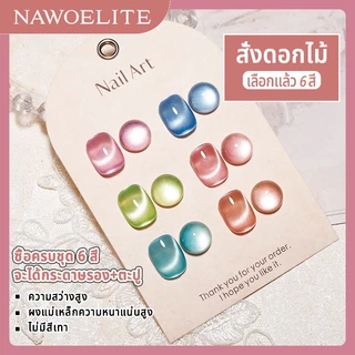 Nawoelite สีทาเล็บเจล สีเล็บเจล ยาทาเล็บเจล 3D พระแมวตาเจลโปแลนด์แม่เหล็กโฮโลแกรมยาทาเล็บ6สีแมวตาเจลยาทาเล็บเจลยาทาเล็บ