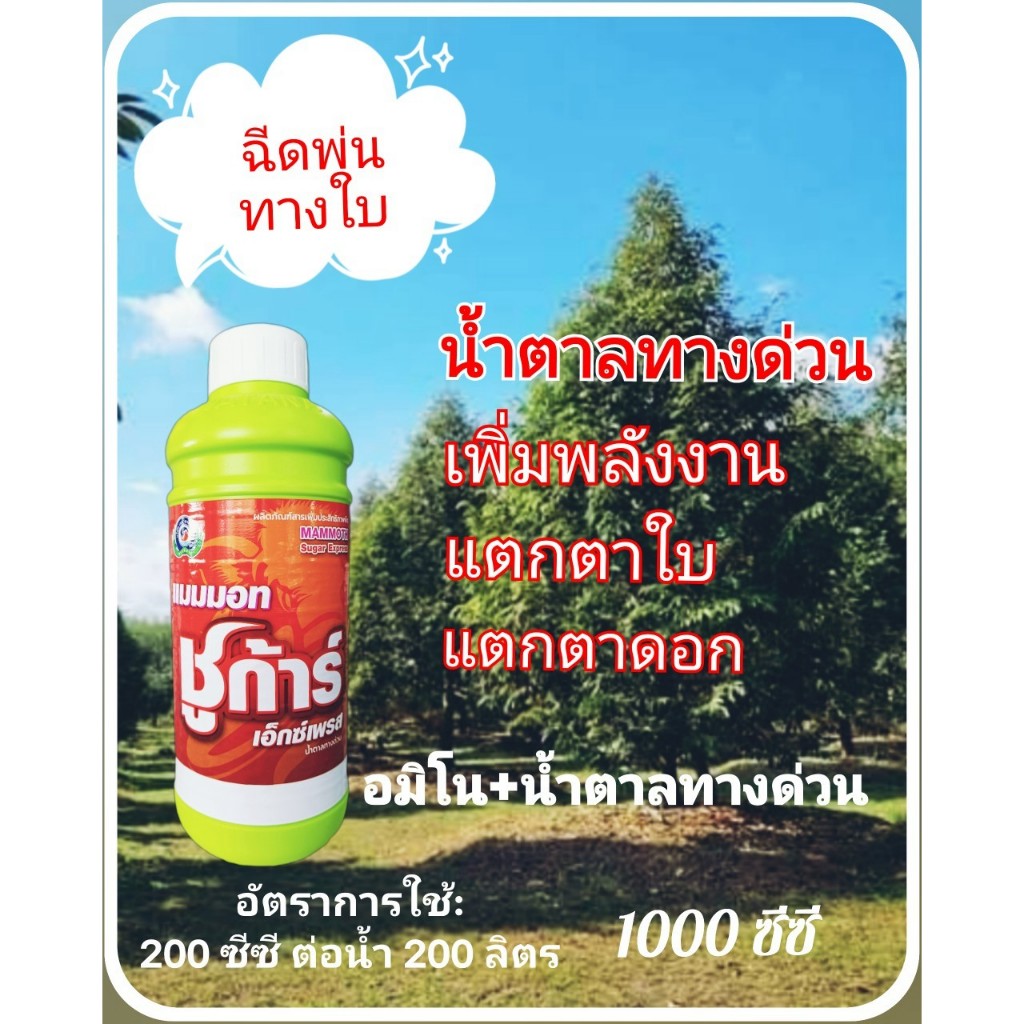 แมมมอท ชูก้าร์ ขนาด 1 ลิตร แมมมอท ชูก้าร์ ขนาด 4 ลิตร น้ำตาลทางด่วน แตกตาดอก แตกตาใบ บริษัทเทพวัฒนา