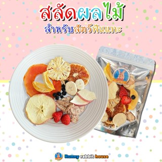 สลัดผลไม้รวม ขนมสำหรับสัตว์ฟันแทะ กระต่าย นก แฮมเตอร์ แกสบี้