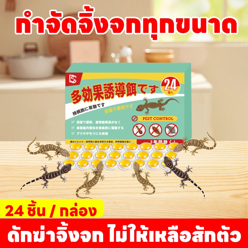 🦎กำจัดจิ้งจกทุกขนาด🦎SKy ยาฆ่าจิ้งจก ยาจิ้งจก ยาฆ่าตุ๊กแก ไล่จิ้งจก ยากำจัดตุ๊กแก 24 ชิ้น/กล่อง ซื้อครั้งเดียวใช้ได้ 3 ปี