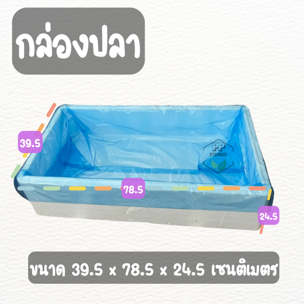 รูปภาพ 6