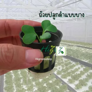 กระถางกล้วยไม้กลมดำโปร่ง ขนาด 1 นิ้ว 100 ใบ