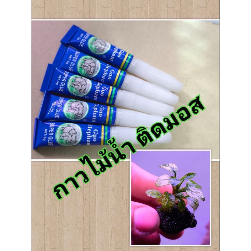 กาวติดไม้น้ำ กาวติดมอส กาวติดปะการัง