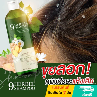 แชมพูสมุนไพรกำจัด เชื้อราบนหนังศรีษะ ลอก ขลุย หนังศรีษะแห้ง กลากเกลื้อน ผมมันรังแค แชมพูขุนเดช