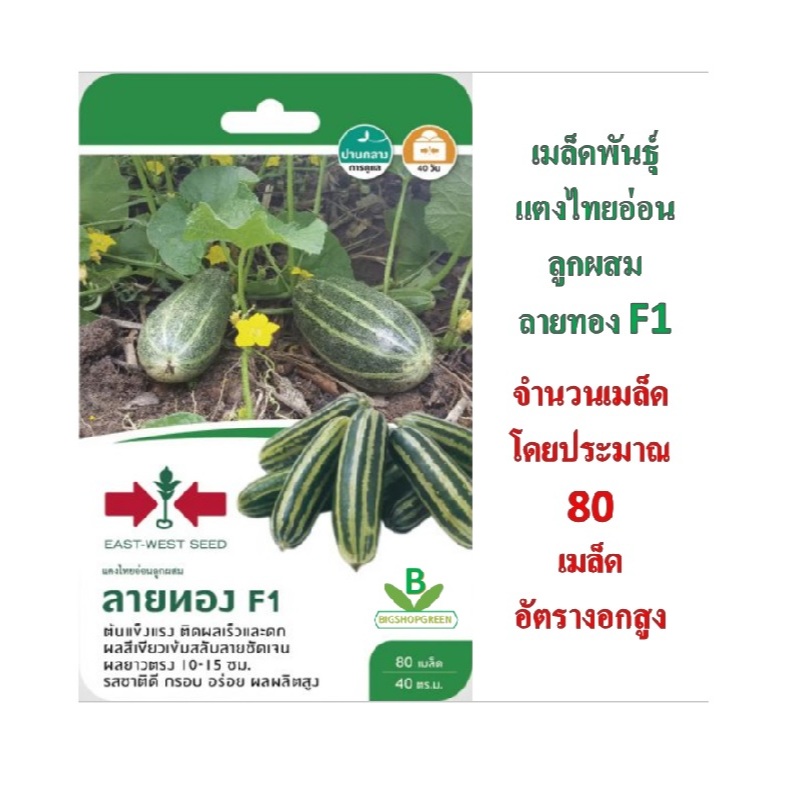 5 แถม 1 เมล็ดพันธุ์ แตงไทยอ่อนลูกผสม ลายทอง F1 ตราศรแดง เมล็ดผัก ผักสวนครัว เมล็ดพืข