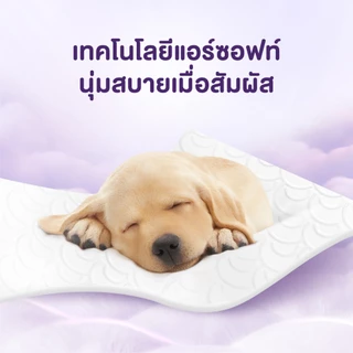 (อยู่ระหว่างเปลี่ยนแพ็คเกจ) [ยกลัง รวม120ม้วน] สก๊อตต์® คอมฟอร์ท คลีน กระดาษชำระทิชชู่ หนา3ชั้น