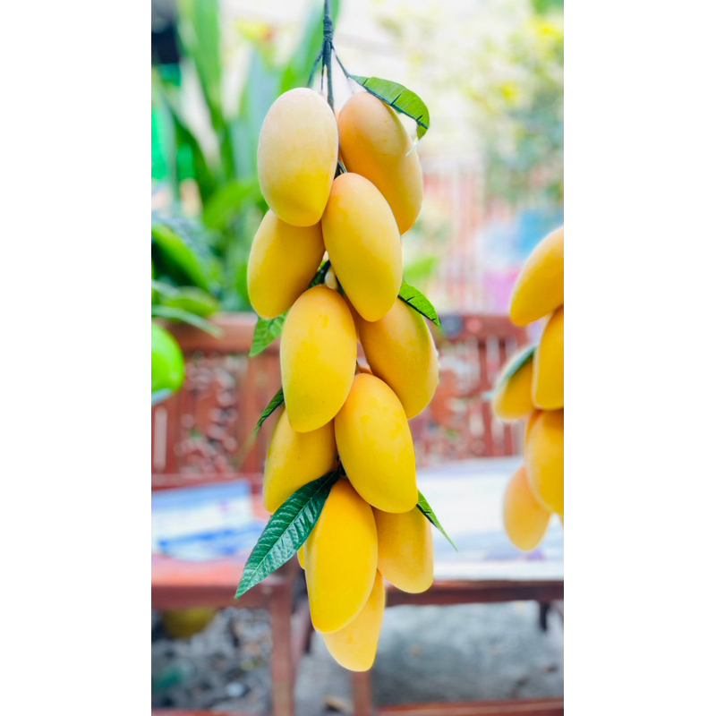 มะม่วงโมเดล ขนาดลูก6นิ้ว 1พวง มี10ลูก ของตกแต่ง