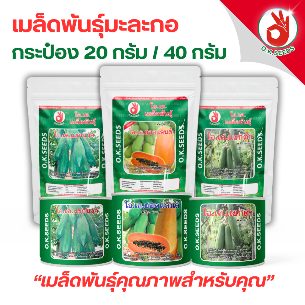 เมล็ดพันธุ์มะละกอ โอเค ซีดส์ OK SEEDS "ทานสุก/ทานส้มตำ/แปรรูป" กระป๋อง 20 / 40 กรัม