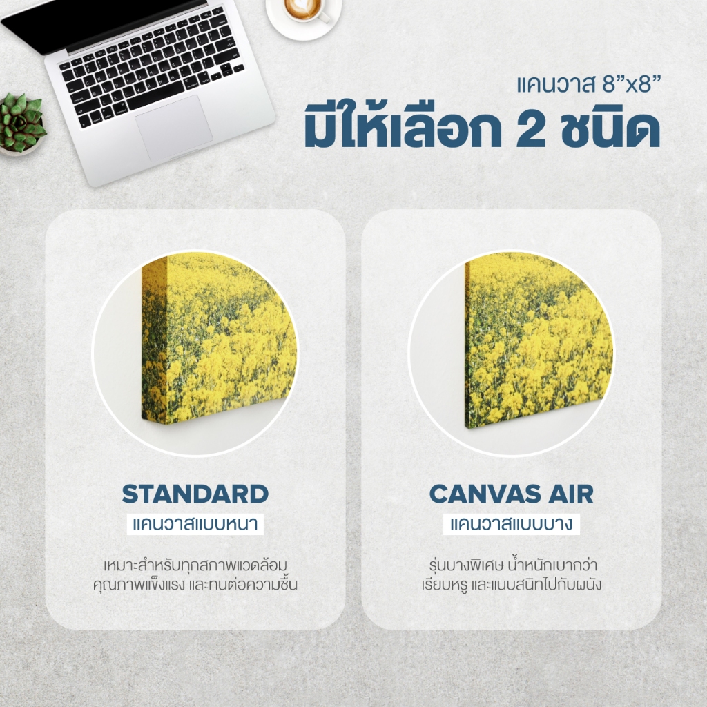 รูปภาพ 3