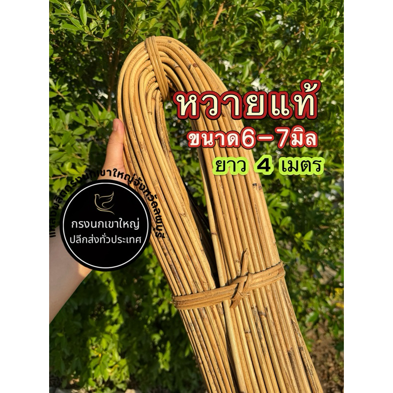 หวายแท้ขนาด6-7มิล ยาว4เมตร แข็งแรง เหนียว ทนทานสามารถใช้ทำกรงนกหรืองานจักรสานได้ค่ะ