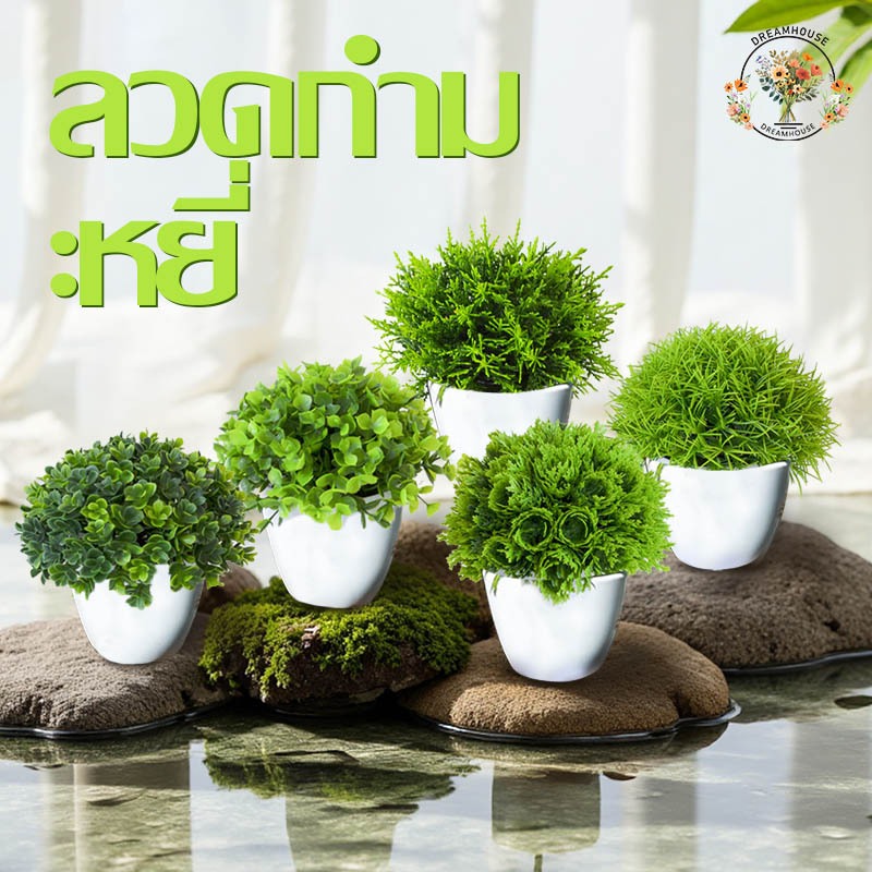 พืชประดิษฐ์  1 ชิ้น พร้อมแจกัน สําหรับตกแต่งบ้าน และออฟฟิศ