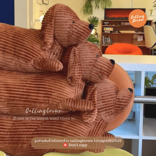 callingbrown [🐶พร้อมส่ง🐶] ตุ๊กตา ดัชชุน 110cm หมอน หมอนข้าง