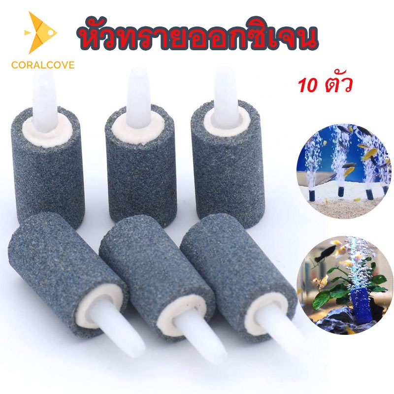 coralcoveshop หัวทรายออกซิเจน หัวทรายละเอียด หินฟองทรงกระบอก Air Stone เพิ่มออกซิเจนตู้ปลา