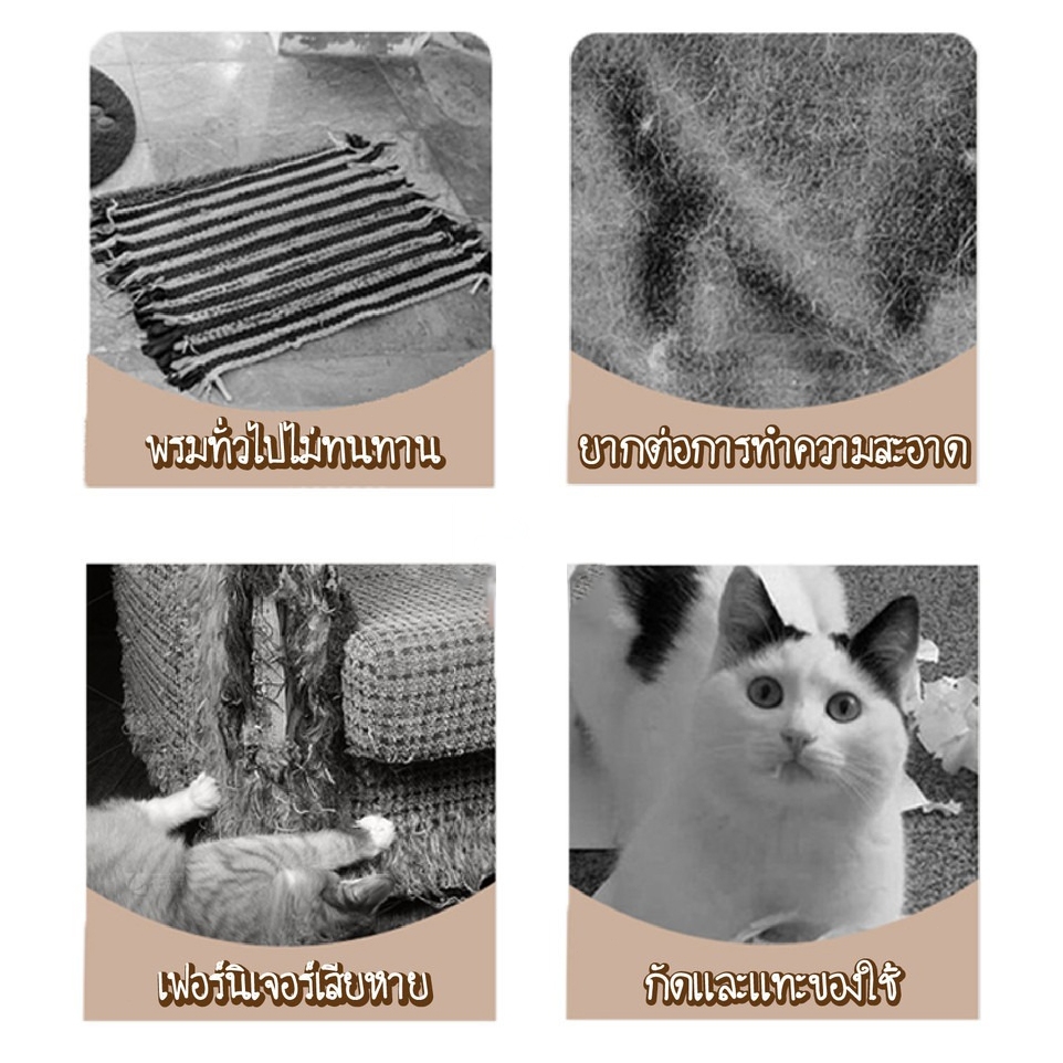 พร้อมส่ง✨พรมลับเล็บแมว ที่ฝนเล็บ มีกาวในตัว กันรอยข่วนได้ดี แผ่นแมวปีน ที่ลับเล็บแมว แผ่นกันข่วน ที่กันแมวข่วน ถนอมโซฟา - รูปที่ 5