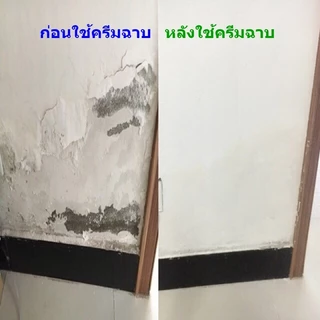 【พร้อมส่ง】ครีมฉาบซ่อมผนัง ซ่อมรอยแตก รอยร้าว อุดรูรั่ว กาวซ่อมผนัง กาวปูน Wall Mending Ointment Wall Repair