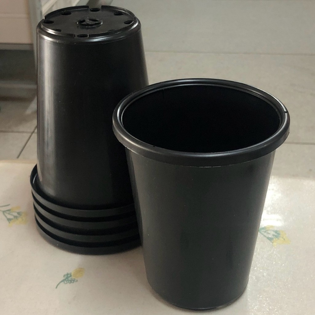 โละสต็อค กระถางแบบหนา ทรงสูง หมดแล้วหมดเลย ลดราคา สำหรับปลูก กล้วยไม้ แคคตัส กระบองเพชร