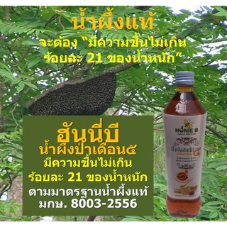 ฮันนี่บี น้ำผึ้งป่า น้ำผึ้งเดือน๕ 1200 กรัม น้ำผึ้งแท้ มาตรฐาน มกษ.8003-2556 อาหารเสริมของขวัญของฝาก