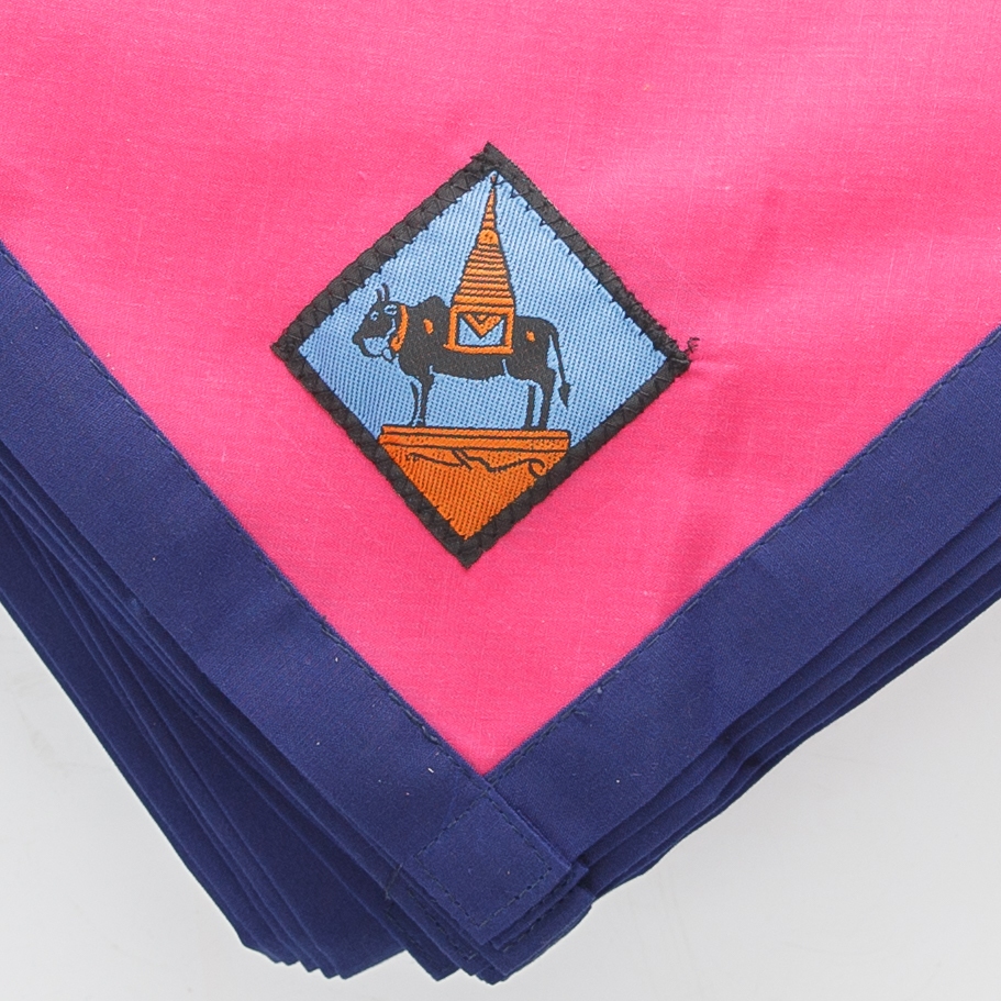 ผ้าพันคอลูกเสือสำหรับครูภาคเหนือตอนบน – ผ้าฝ้ายผสม สีประจำจังหวัด ถูกระเบียบ วินัย ขนาดฟรีไซส์