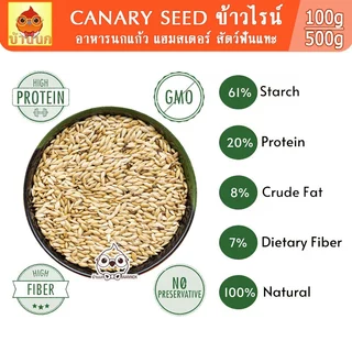 ข้าวไรน์ 100g / 250g / 500g อาหารนกแก้ว อาหารนก แฮมสเตอร์ สัตว์ฟันแทะ ธัญพืช ธัญพืชนก ข้าวไรย์ ข้าวไร
