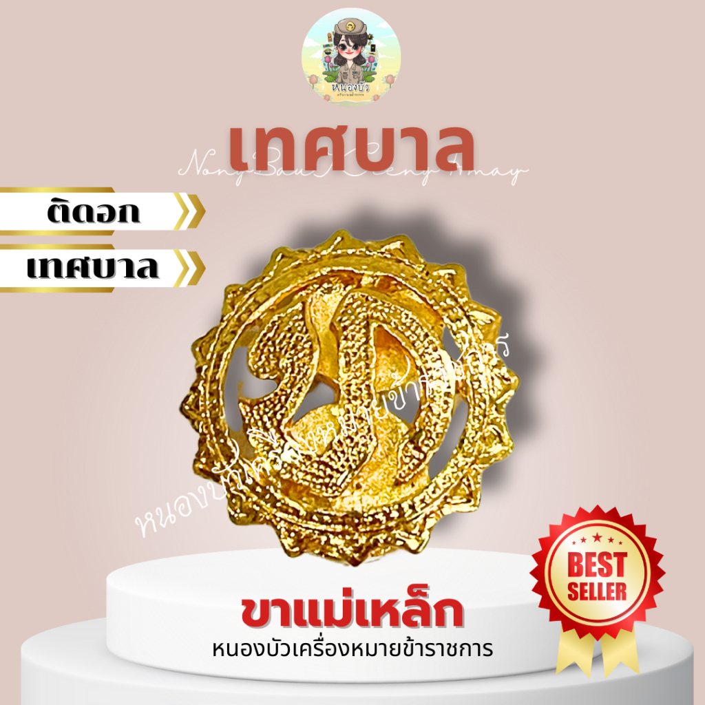 เข็มติดหน้าอกเทศบาล เทศบาล ตัวทอทหาร ท.