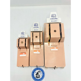 คัตเอ้า คัตเอาท์ CHANG ช้าง 2P 30A 60A 100Aพร้อมฟิวส์ในกล่อง คัทเอาท์ ของแท้ 100% 2P100Aขอไม่เกิน6/1ออเดอร์