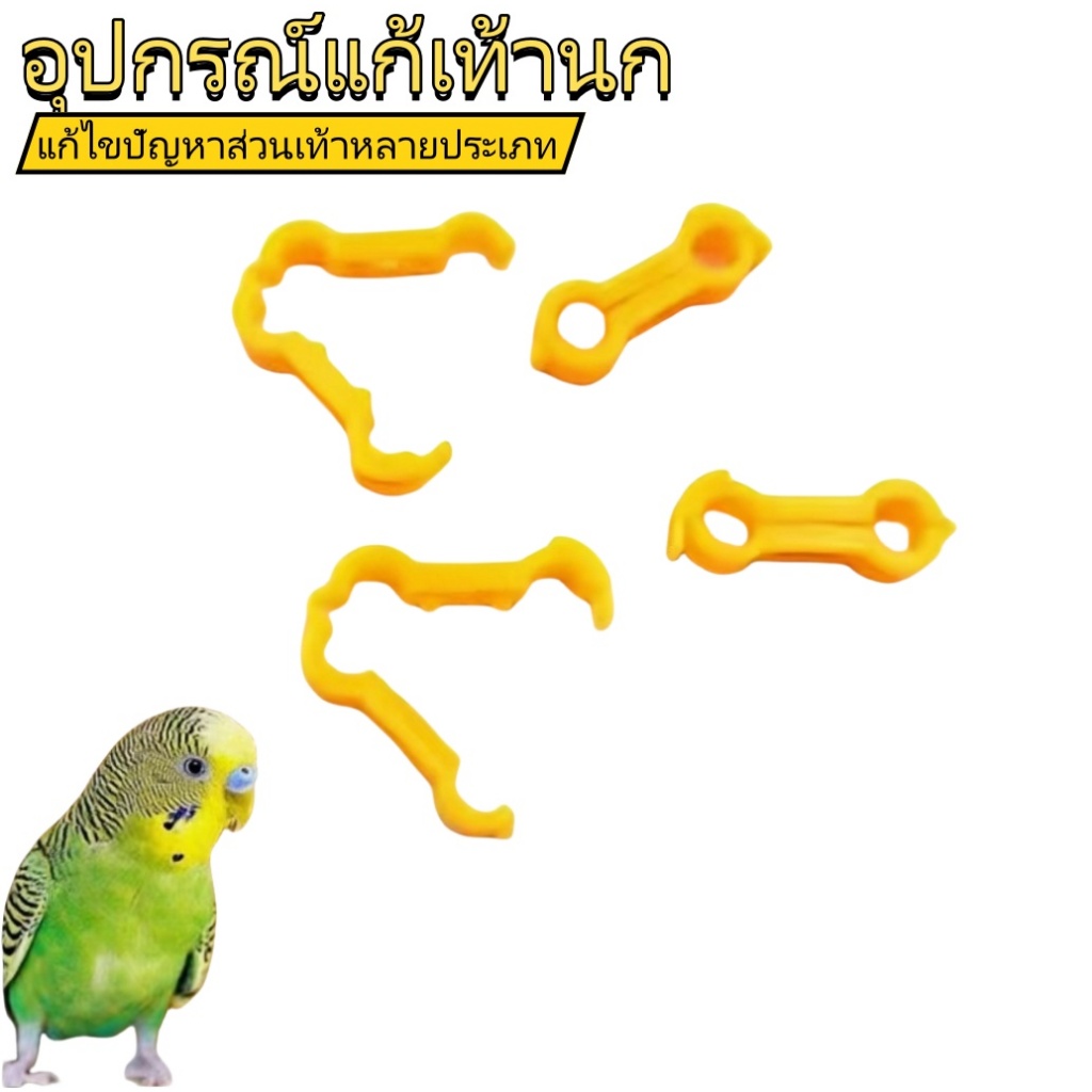 แหวนแก้ไขเท้านกวัยอ่อน การแก้ไขเท้านกแก้ว การแก้ไขเท้านกแบบแยกออก อุปกรณ์ช่วยยืนสำหรับนกวัยอ่อน