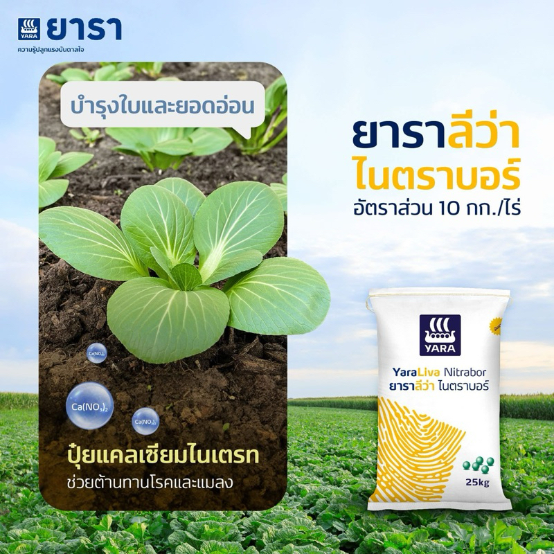 ปุ๋ย15-0-0 ยารา ลีว่า ไนตราบอร์ 25 กก.