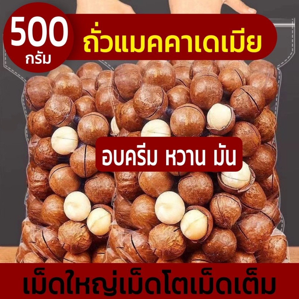 📌500g 📌แมคคาเดเมีย Macadamia แม็คคาเดเมียอบ แมคคาเดเมียอบเนย แมคคาเดเมียอบธรรมชาติ ถั่วแมคคาเดเมีย ถ