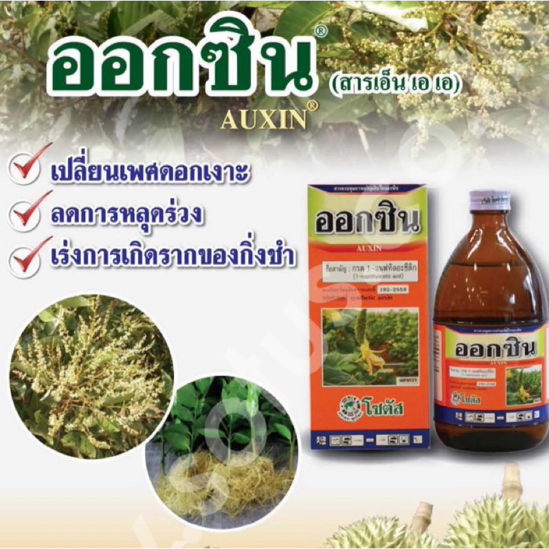 ออกซิน เอ็นเอเอ โซตัส ขนาด 500 ซีซี