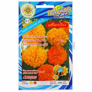 เมล็ดดอกดาวเรือง ตราสี่ทิศ