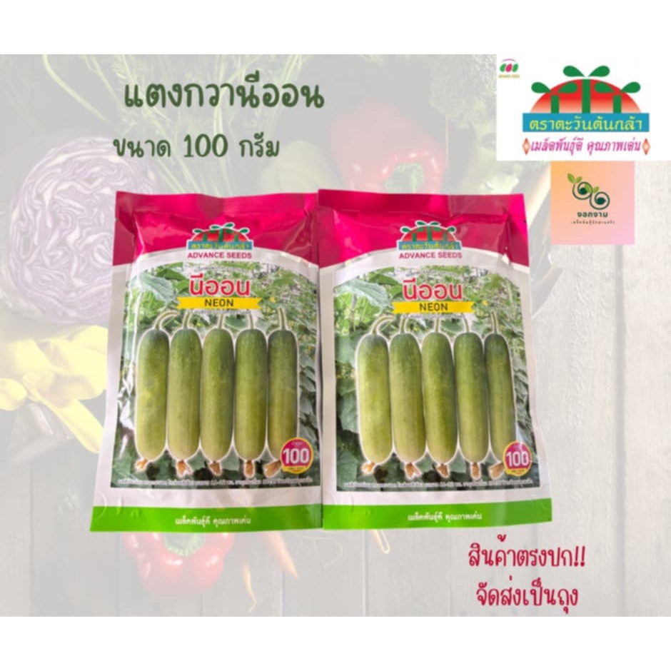 เมล็ดพันธุ์ แตงกวาพิมพ์นิยม 011 ขนาด 100 กรัม
