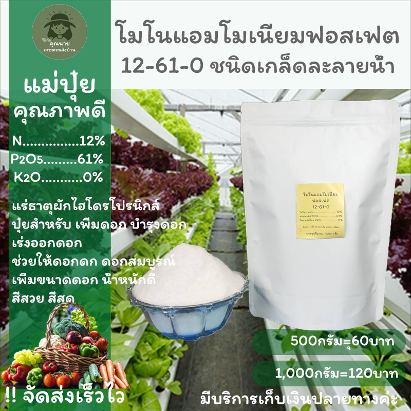 แม่ปุ๋ย 12-61-0 โมโนแอมโมเนียมฟอสเฟต ปุ๋ยเร่งดอก บำรุงดอก เพิ่มขนาดดอกให้ใหญ่ ปุ๋ยเกล็ด สำหรับใช้ในร