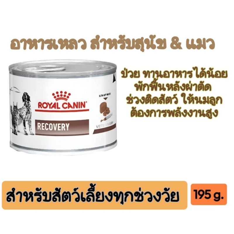 อาหารเหลวสำหรับสุนัขป่วย สำหรับแมวป่วย พักฟื้นหลังผ่าตัด ต้องการพลังงานสูง