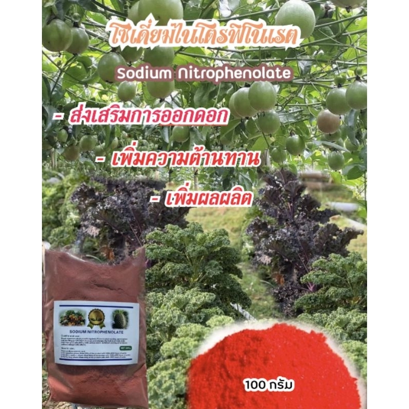 สารประกอบไนโตรเจน โซเดี่ยมไนโตรฟีโนเรต ใช้ละลายน้ำ ขนาด 100 กรัม